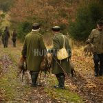 Pheasantry Radany ✓ Hunting Trips of pheasant ✓ Stalking hunt of pheasants with dogs