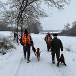 Hunting pheasants with dogs in pheasantry Radany, Czech Republic