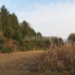 Pheasantry Albertovec in the Czech Republic ✓ Pheasant hunting ✓