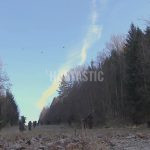 Pheasantry Albertovec in the Czech Republic ✓ Pheasant hunting ✓