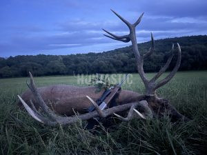 Lov jelena na Slovensku 2024/2025 0