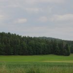 Roe deer hunting for a fee in hunting ground Překážka in South Bohemia ✅ Roe deer hunting · Wild boar hunting ✅