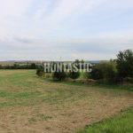Hunting ground Zbýšov offers hunts of hare and pheasants
