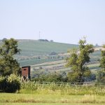 Obora Obelisk nabízí lov jelena a lov daňka v prostředí lužního lesa na jižní Moravě ✅
