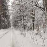 IMG-20231212-WA0008