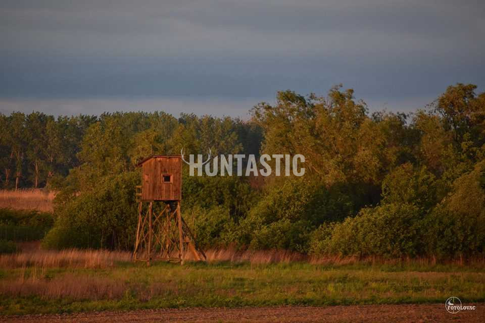 Serbia Hunt, Bac