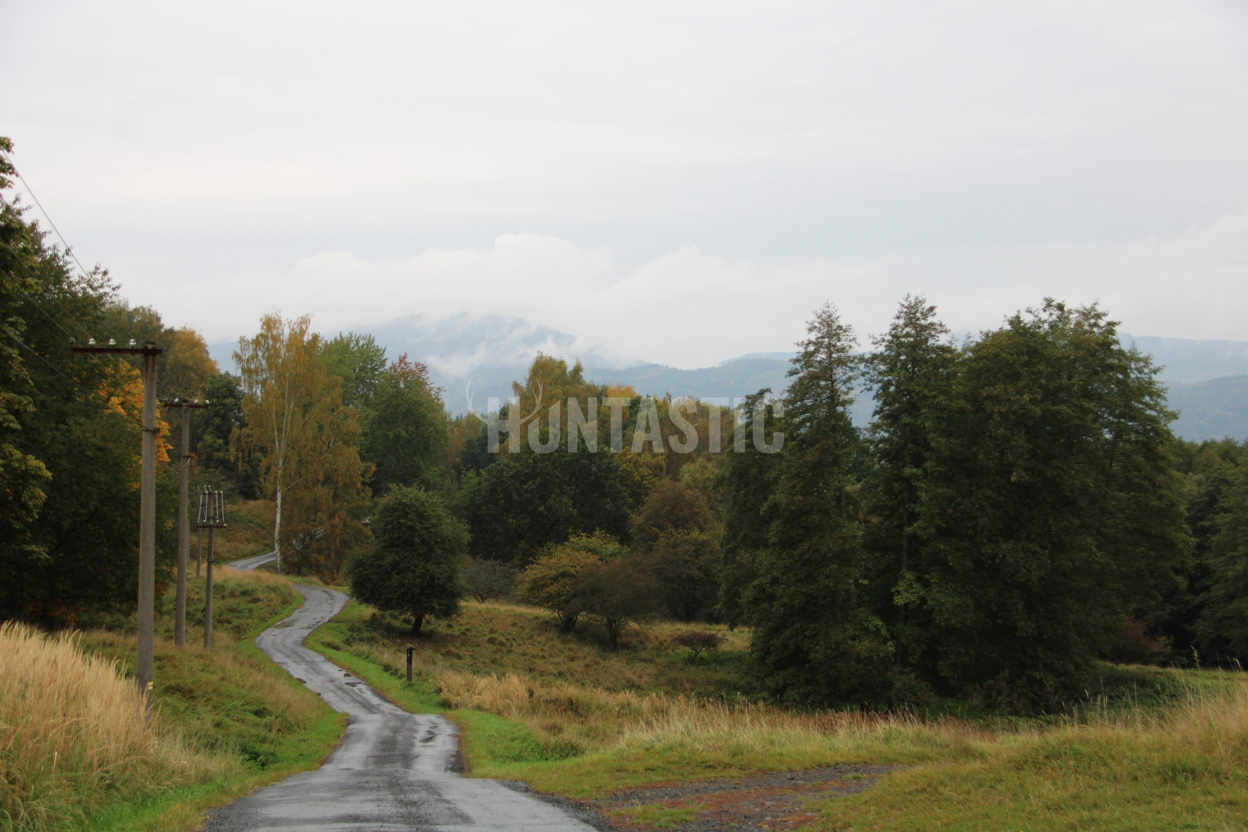 Huntastic Honitby A Online Rezervace Poplatkov ch Lov 