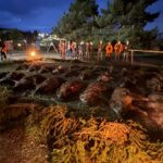 Naháňka Tabarky 2025