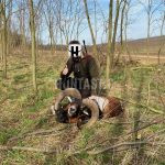 Poplatkový lov muflona v oboře Pravice ✅ Lov probíhá na jižní Moravě ✅