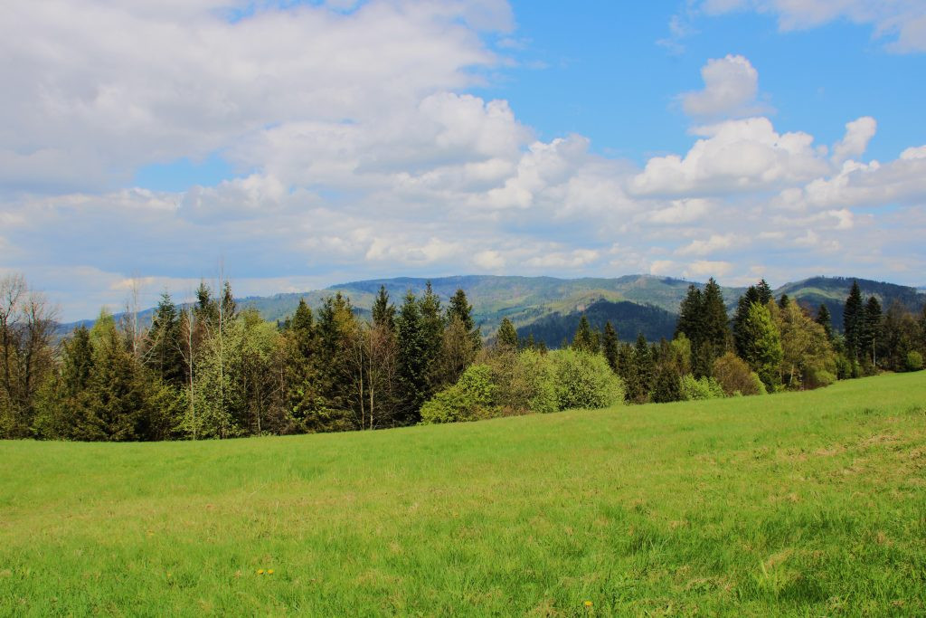Honitba Gírová je horská honitba v nejvýchodnějším cípu České republiky ✅ Styčný bod 3 státních hranic na Trojmezí ✅ Lov jelena ve volnosti