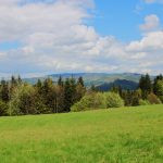 Honitba Gírová je horská honitba v nejvýchodnějším cípu České republiky ✅ Styčný bod 3 státních hranic na Trojmezí ✅ Lov jelena ve volnosti