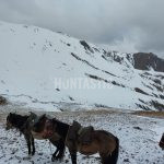Lov v Kyrgyzstánu