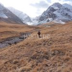 Lov v Kyrgyzstánu