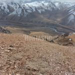 Lov v Kyrgyzstánu