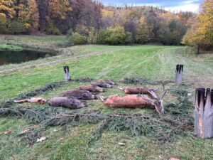 Lov zvěře v Jeseníkách pro malé skupiny 2025/2026 0