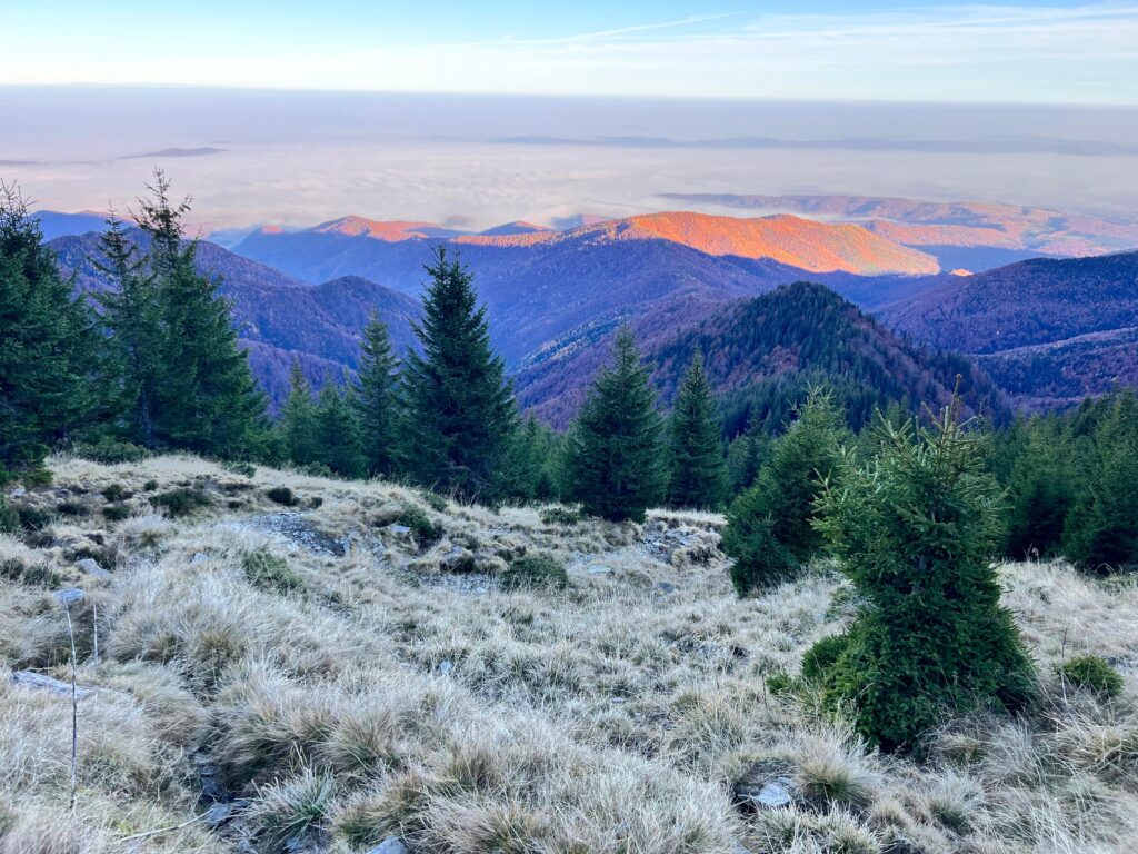 Lovecká oblast Sibiu v Rumunsku ✅ Lov medvěda ✅ Lov kamzíka ✅ Lov jelena v Rumunsku