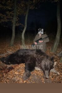 Lov medvěda v Rumunsku na podzim 2025 0