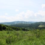 Honitba Přízeř (1)