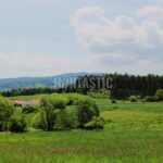 Honitba Přízeř (53)