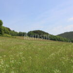 Honitba Přízeř (76)