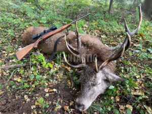 Lov jelena na Šumavě 2026 0