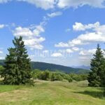 Honitba Podloučná ✅ Lov jelenů ✅ Lov divočáků ✅