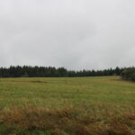 Honitba Vápenice