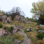 Honitba Vápenice
