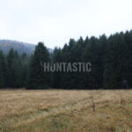 Honitba Vápenice