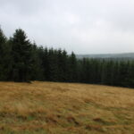 Honitba Vápenice