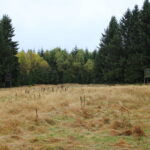 Honitba Vápenice