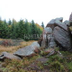 Honitba Vápenice