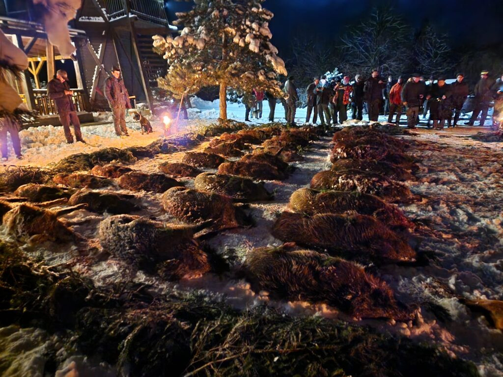 Naháňka 2 dny v Buchlovských lesích 2025