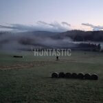 Honitba Blanský les