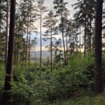 Honitba Blanský les