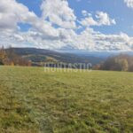 Honitba Blanský les