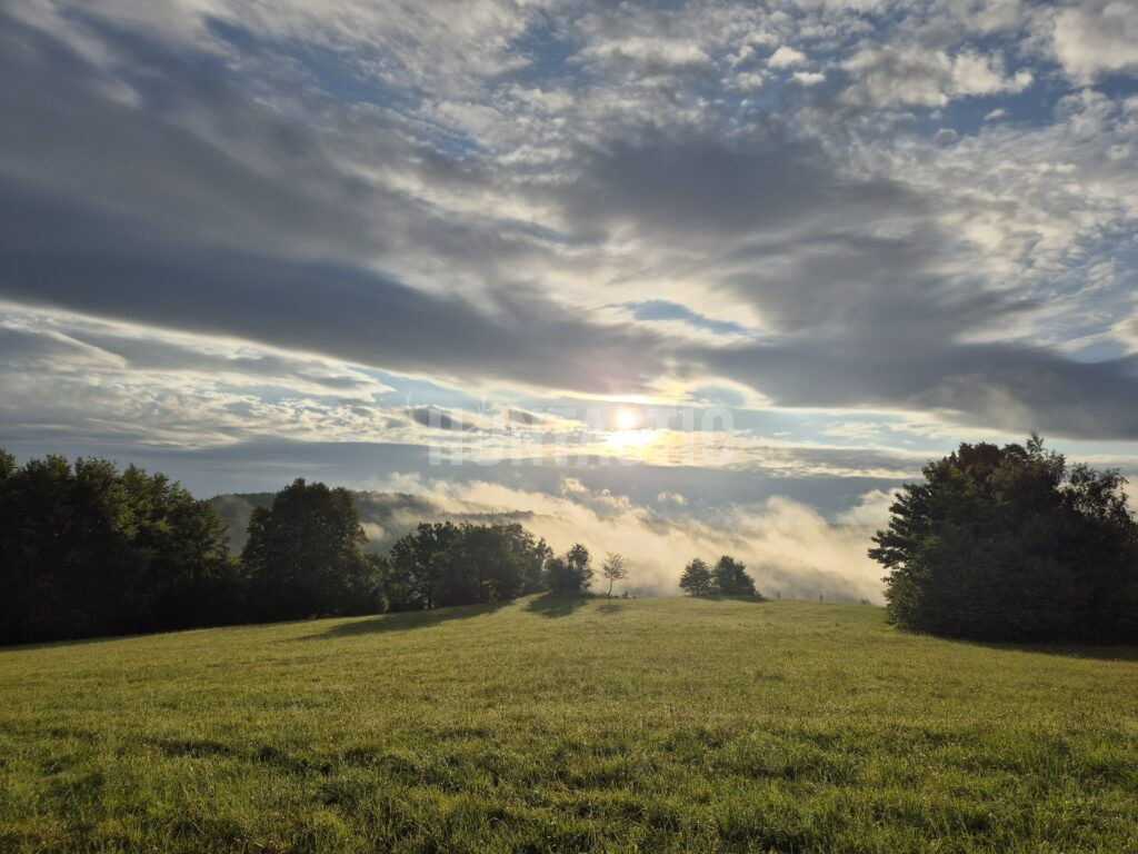 Honitba Blanský les ✅ Lov jelena ✅ Lov divoké prase ✅ Lov srnec