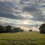 Honitba Blanský les ✅ Lov jelena ✅ Lov divoké prase ✅ Lov srnec