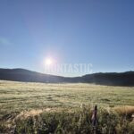 Honitba Blanský les