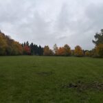 Honitba Blanský les