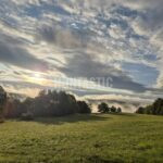 Honitba Blanský les