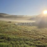 Honitba Blanský les