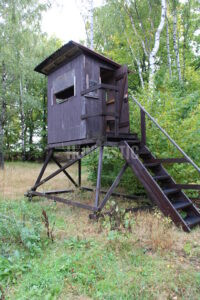 Lov srnců v Krušných horách 2026 3