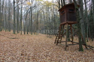 Lov zvěře v Železných horách 2025/2026 2