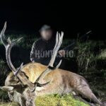 Lov Blanský les (1)