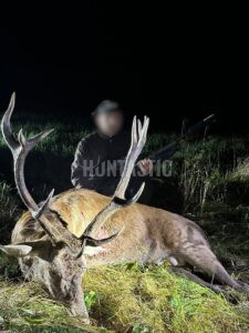 Lov zvěře v Blanském lese 2025/2026 1