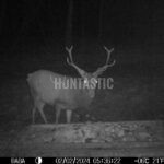 Lov Blanský les (10)