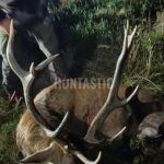 Lov Blanský les (18)