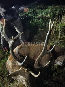 Lov zvěře v Blanském lese 2025/2026 0