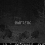 Lov Blanský les (9)